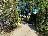 Eladó mezogazdasagi ingatlan, Érden 220 M Ft, 3 szobás