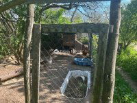 Eladó mezogazdasagi ingatlan, Kerepesen 75 M Ft, 3 szobás