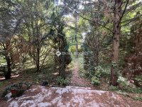 Eladó telek, XII. kerületben 369 M Ft / költözzbe.hu