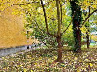 Eladó téglalakás, Keszthelyen 58.9 M Ft, 3 szobás