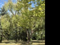 Eladó panellakás, III. kerületben 102.9 M Ft, 1+2 szobás