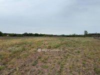 Eladó mezogazdasagi ingatlan