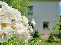 Eladó nyaraló, Velencén 95 M Ft, 3 szobás / költözzbe.hu