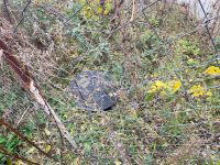 Eladó telek, Maglódon 35.9 M Ft / költözzbe.hu