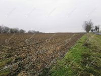 Eladó mezogazdasagi ingatlan