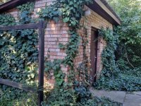 Eladó családi ház, II. kerületben 169 M Ft, 3 szobás