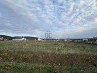 Eladó telek, Budajenőn 191.205 M Ft / költözzbe.hu