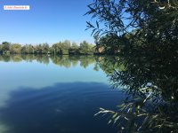 Eladó ipari ingatlan, Nagygeresden 46.5 M Ft / költözzbe.hu