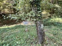 Eladó telek, Kőszegen 7.9 M Ft / költözzbe.hu