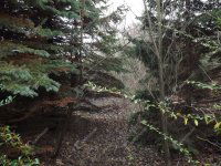 Eladó ipari ingatlan