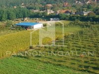 Eladó telek, Csikvándon 70 M Ft / költözzbe.hu