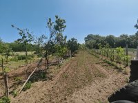 Eladó családi ház, Nyírtelken 16.9 M Ft, 1+1 szobás