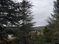 Eladó telek, II. kerületben 349 M Ft / költözzbe.hu