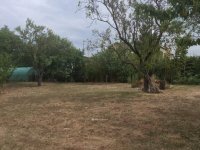 Eladó telek, Pécsett 42 M Ft / költözzbe.hu