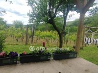 Eladó telek, Szekszárdon 12 M Ft / költözzbe.hu