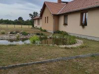 Eladó mezogazdasagi ingatlan, Tápiószecsőn 225 M Ft