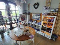 Eladó üzlethelyiség