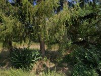 Eladó telek, Tilajon 7.199 M Ft / költözzbe.hu