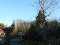 Eladó telek, Zalaegerszegen 9 M Ft / költözzbe.hu