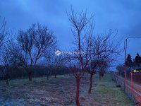 Eladó telek, Csabdiban 6.2 M Ft / költözzbe.hu