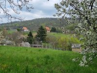 Eladó nyaraló, Rezin 24.9 M Ft, 1 szobás / költözzbe.hu