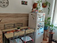 Eladó családi ház, Zagyvarékason, Alkotmány utcában 26.9 M Ft