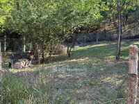 Eladó családi ház, Salgótarjánban 15 M Ft, 2 szobás