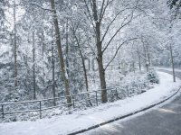 Eladó telek, XII. kerületben 680 M Ft / költözzbe.hu