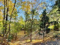 Eladó téglalakás, XII. kerületben 124.9 M Ft, 2 szobás