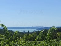 Eladó mezogazdasagi ingatlan, Balatonfüreden 35 M Ft, 1 szobás