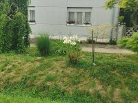 Eladó családi ház, Gerdén 25 M Ft, 3+1 szobás