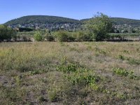 Eladó telek, Csopakon 154 M Ft / költözzbe.hu