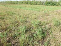 Eladó mezogazdasagi ingatlan