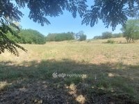 Eladó mezogazdasagi ingatlan, Nyíregyházán 31.8 M Ft
