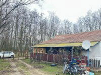 Eladó mezogazdasagi ingatlan