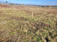 Eladó telek, Sopronban 15.9 M Ft / költözzbe.hu