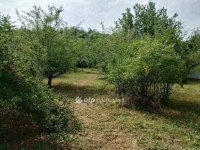 Eladó telek, Zalaszentgróton 3.65 M Ft / költözzbe.hu