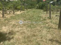 Eladó telek, Kővágószőlősön 15 M Ft / költözzbe.hu