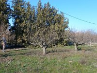 Eladó telek, Érden 14.99 M Ft / költözzbe.hu