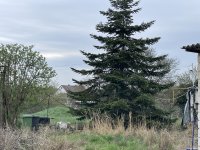 Eladó mezogazdasagi ingatlan, XXII. kerületben 39.9 M Ft