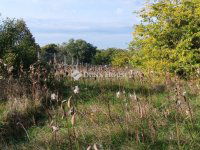 Eladó telek, Szadán 19.9 M Ft / költözzbe.hu