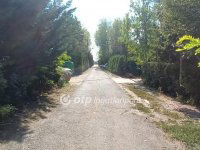 Eladó mezogazdasagi ingatlan, Érden 220 M Ft, 3 szobás