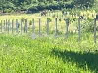 Eladó telek, Ikladon 25 M Ft / költözzbe.hu