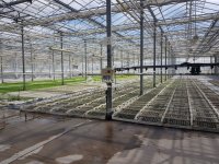 Eladó mezogazdasagi ingatlan, Kecskeméten 520 M Ft