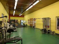 Eladó ipari ingatlan, Nagykőrösön 280 M Ft