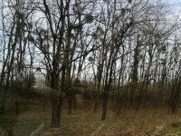 Eladó telek, Nagykapornakon 3.4 M Ft / költözzbe.hu