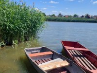 Eladó telek, Szigetszentmiklóson, Virág közben 49.8 M Ft