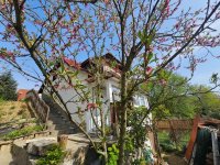 Eladó családi ház, Kaposváron, Százszorszép utcában 15 M Ft