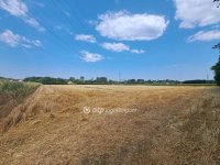 Eladó telek, Nyíregyházán 9.9 M Ft / költözzbe.hu