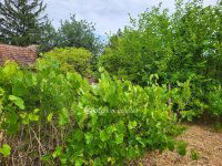 Eladó családi ház, Pusztamonostoron 16.8 M Ft, 2+1 szobás